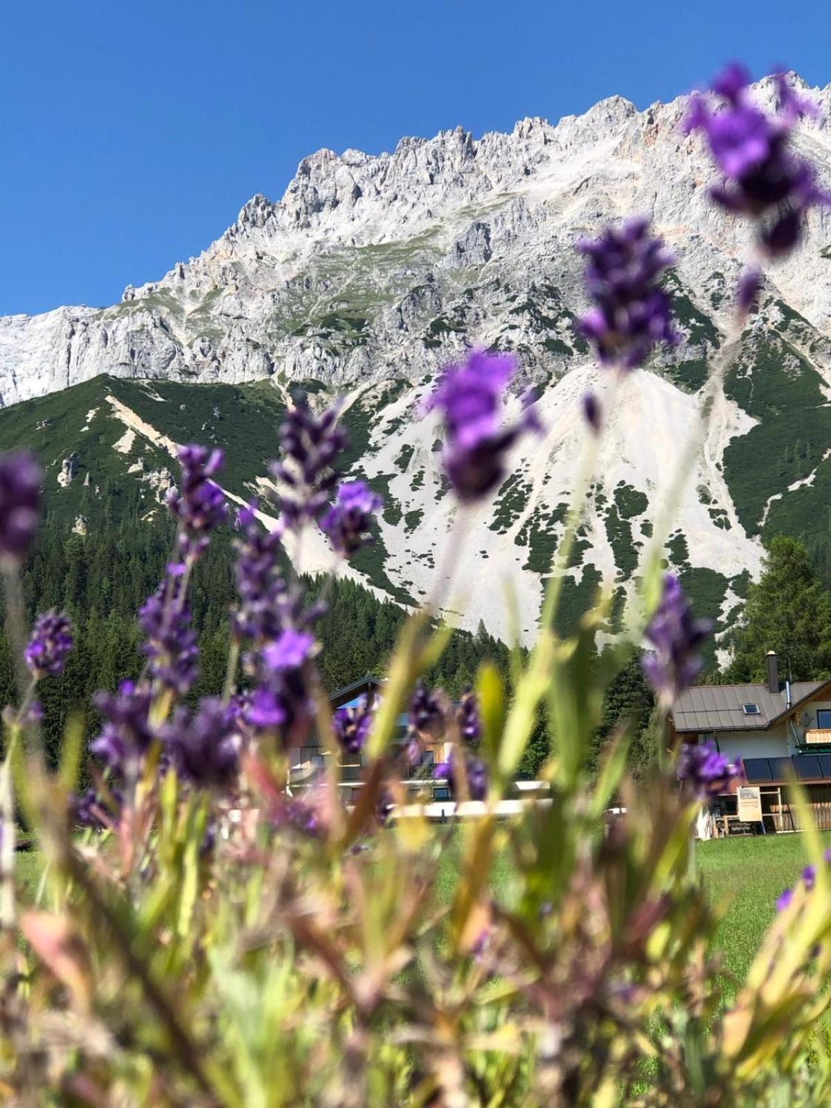 Club Villa Ramsau am Dachstein Exterior foto
